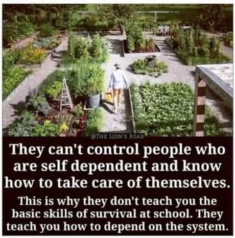 This meme features a person walking through a garden, with a quote overlayed on top. The text reads: "They can't control people who are self-dependent and know how to take care of themselves. This is why they don't teach you the basic skills of survival at school. They teach you how to depend on the system." The image is likely a photo of a person walking through a garden, with a garden or a park in the background.